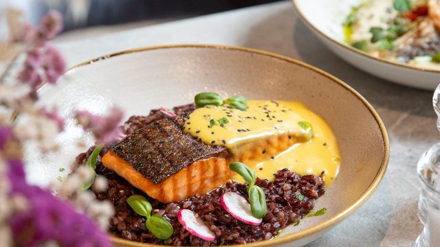 marinated-salmon-filet