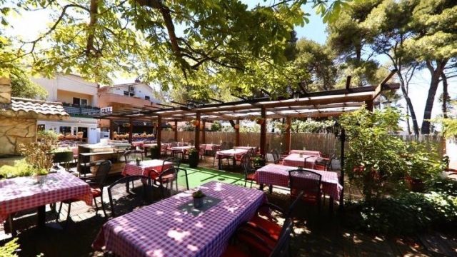 afternoon-on-our-terrace