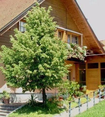 Gostilna Anderlic