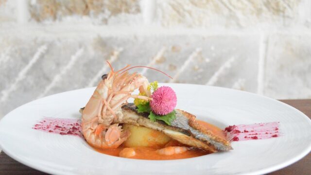 Single Location 5 Restaurant Martinac