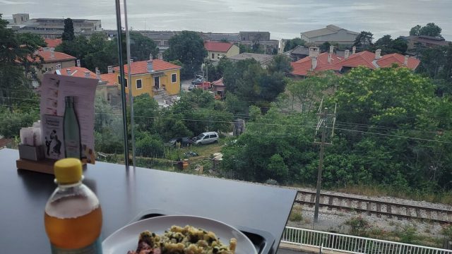 view-from-the-covered-1