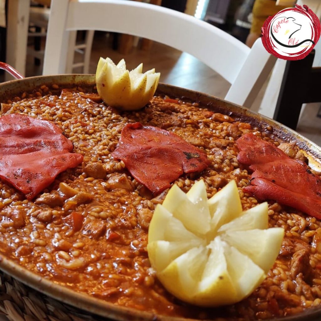 whatsapp-385-91-349-0044-1