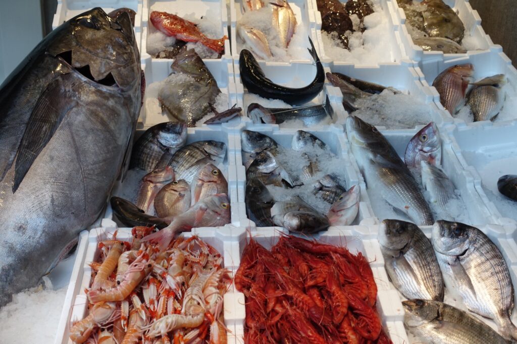 Crazy Fish Monte Carlo