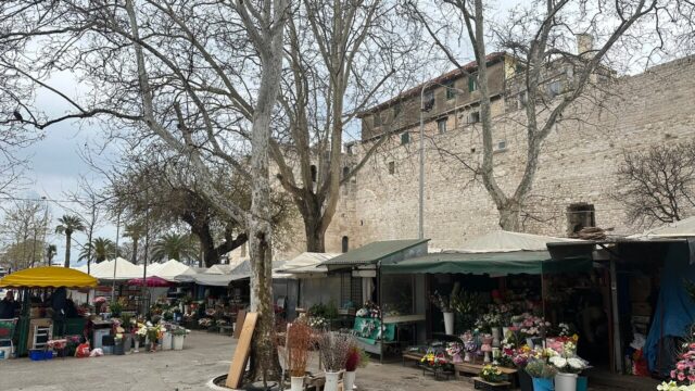 Single Location 17 Bartulovic