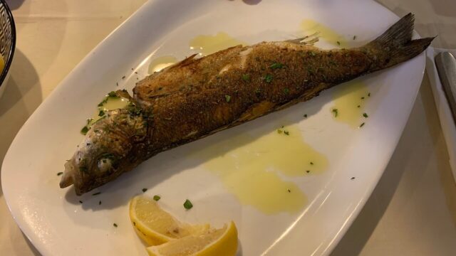 Single Location 7 Bistro Torcida
