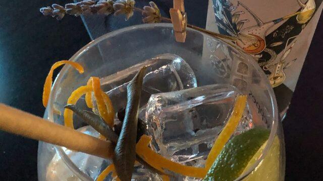 Single Location 11 gin-house-medin
